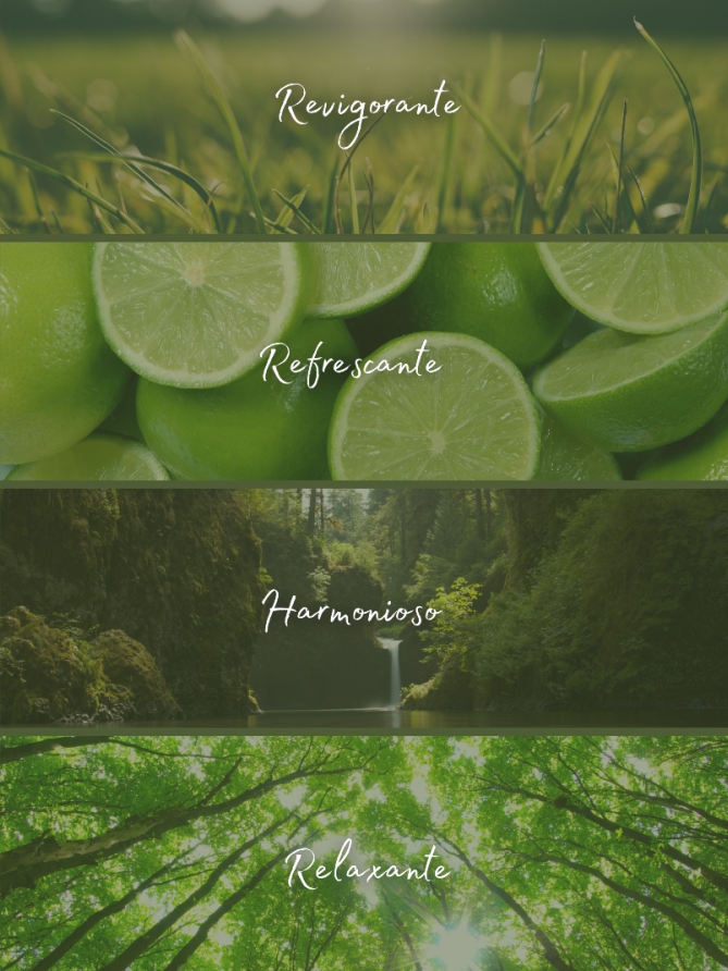 Referências Cores Verdes